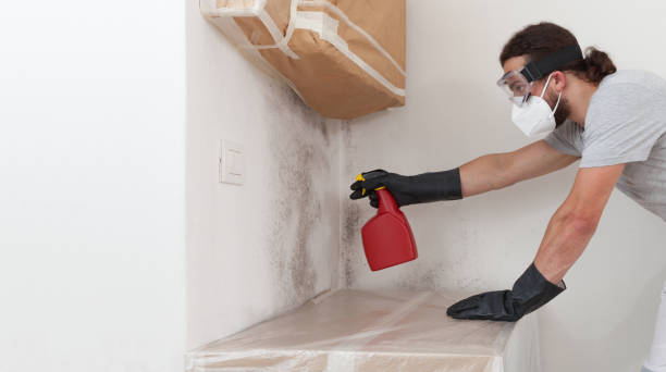 Professional Mold Testing technician working in Ridgefield Park, NJ